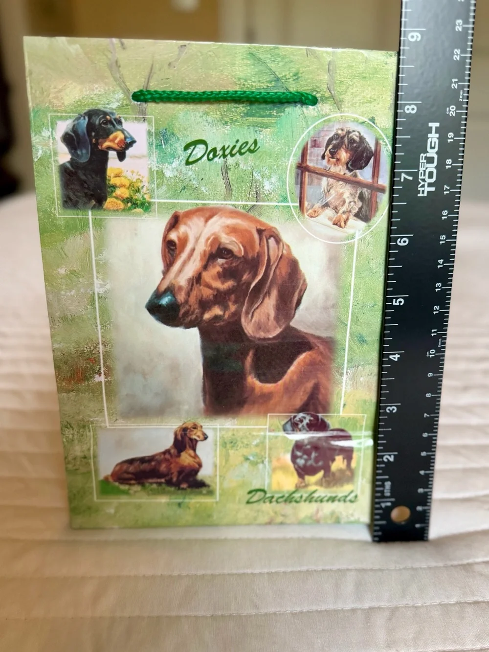 Dachshund Set of 5 Gift Bags - 2 Medium & 3 Small Best Friends by Ruth Maystead